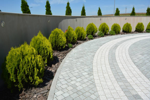 Reasons to Select Us for Your Driveway Paving Requirements in Chicago Heights, IL